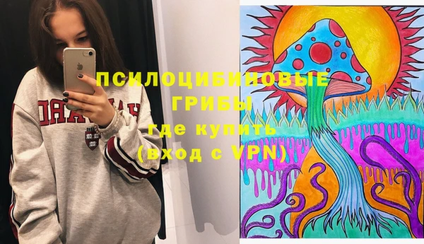 крисы Алзамай